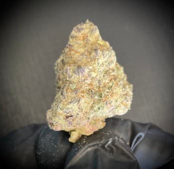Purple Candy THCA