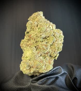 Papaya Crush THCA
