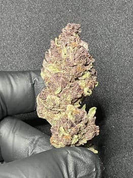 Tropicana Cherry Cookies Smalls THCA
