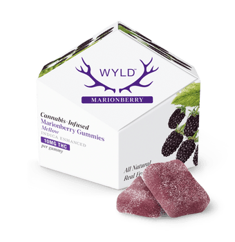 WYLD Gummies 100mg