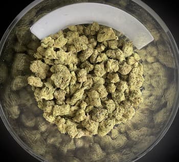 True Blueberry THCA